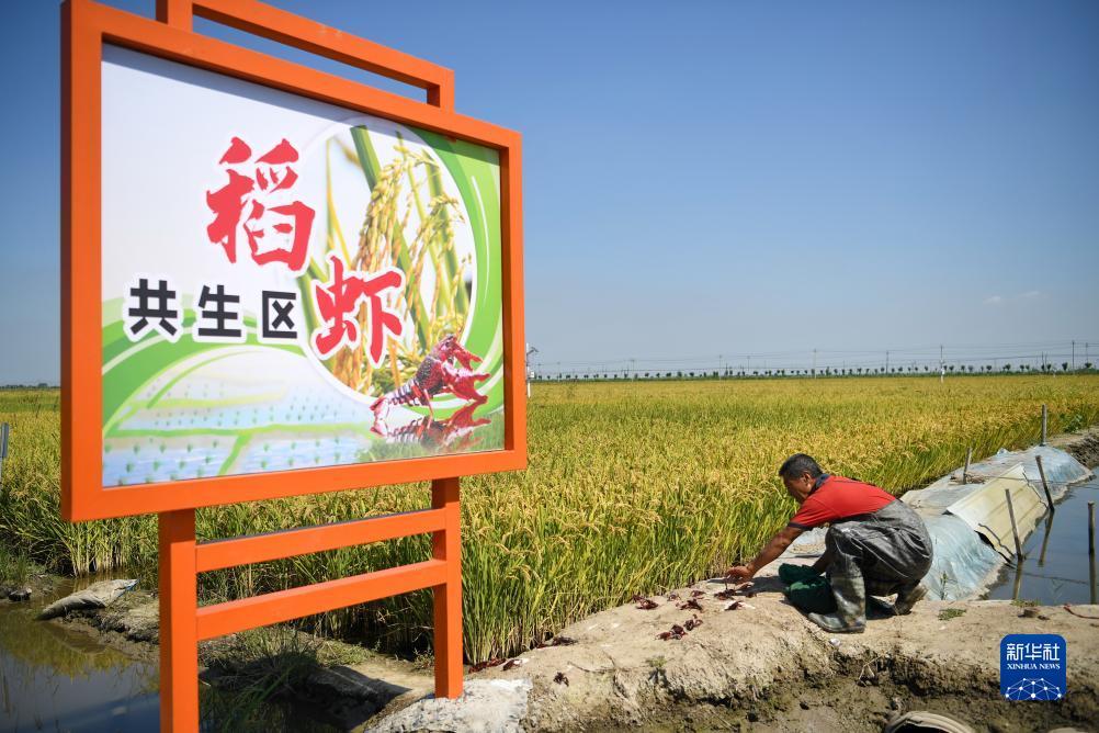 白菜pt游戏免费送彩金